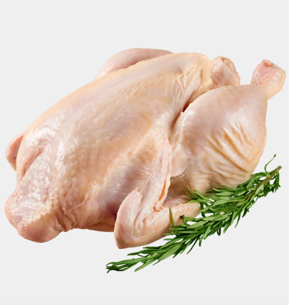 Poulet frais